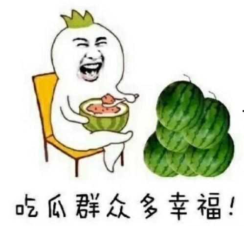 哪里吃娱乐圈的瓜